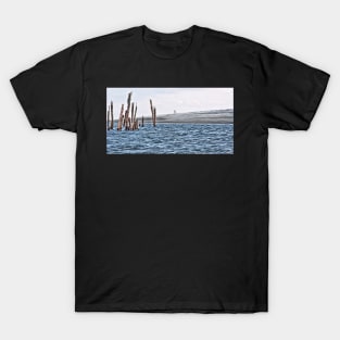 Winter Scented Sand T-Shirt